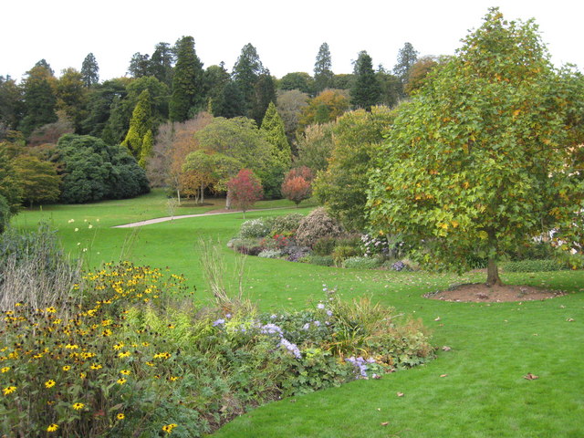 File:Autumn colour in the gardens at Killerton House - geograph.org.uk - 1010510.jpg