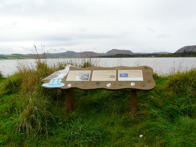 File:Balblair Bay and Loch Fleet. - geograph.org.uk - 1516717.jpg