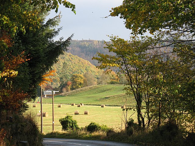 File:Bales, Dunkeld Park - geograph.org.uk - 1025919.jpg