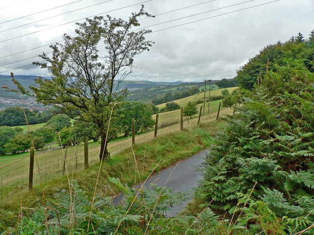 File:Bracken and sheep pasture Mynydd Meio above Rhydyfelin - geograph.org.uk - 1459532.jpg