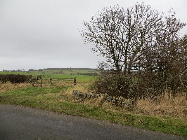 File:Bridge, Black Burn - geograph.org.uk - 3843801.jpg