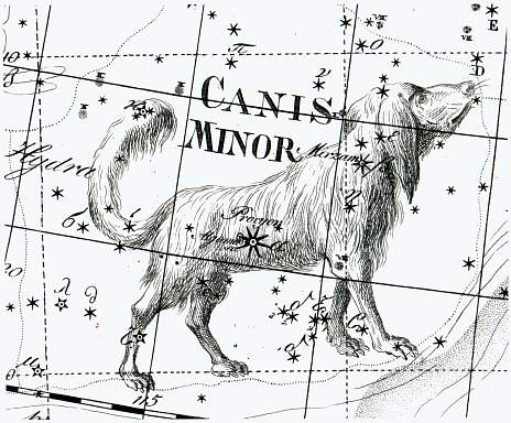 Созвездие большого пса. Canis Minor Созвездие. Созвездие большой пес схема. Большой и малый пес созвездия. Созвездие большого пса Сириус.