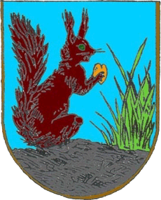 Файл:Coat of arms of Krasnoilsk.png
