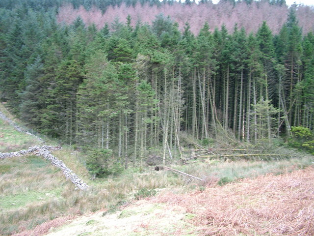 File:Corner of the forest on Dent - geograph.org.uk - 1055613.jpg