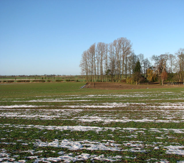 File:Cultivated fields west of Barton Bendish - geograph.org.uk - 1634950.jpg