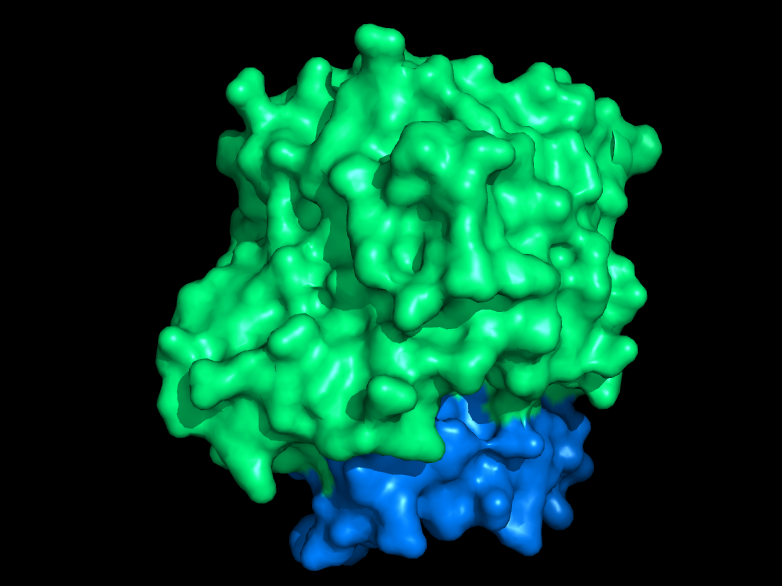 File:DHOQO structure colored by domains.png