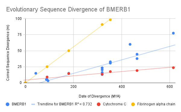 File:Evolutionary Sequence Divergence of BMERB1.png