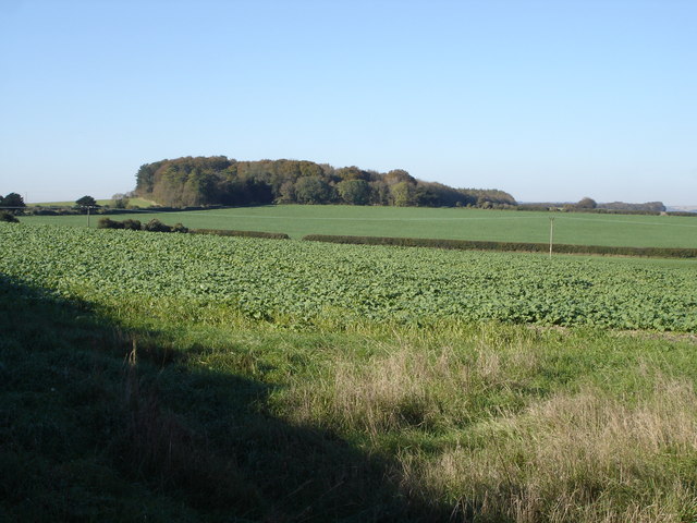 File:Farmland near Cranborne - geograph.org.uk - 272553.jpg