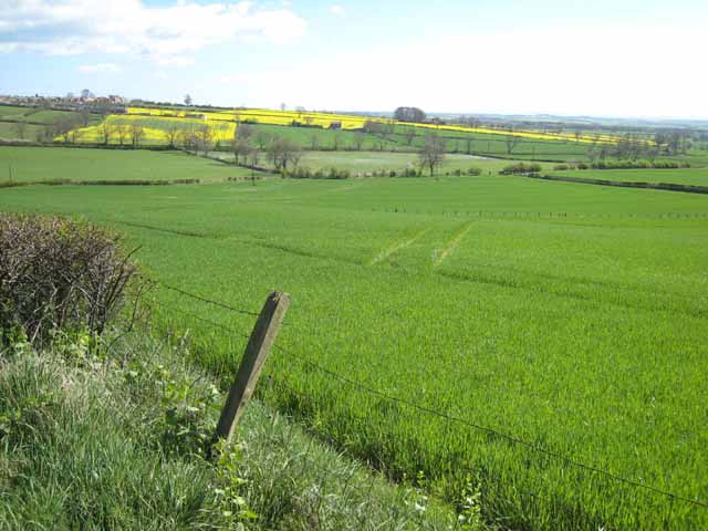 File:Farmland near Middlestone - geograph.org.uk - 404392.jpg