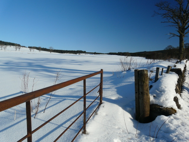 File:Field gate near Ardross - geograph.org.uk - 1743171.jpg