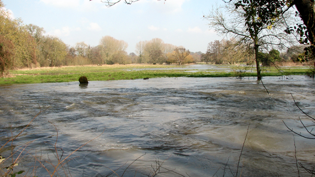 File:Flooded pastures in Marlingford - geograph.org.uk - 4858494.jpg