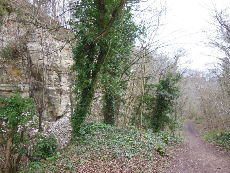 Coaley Wood Quarries