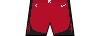 Korte broek houstonrockets icon.png