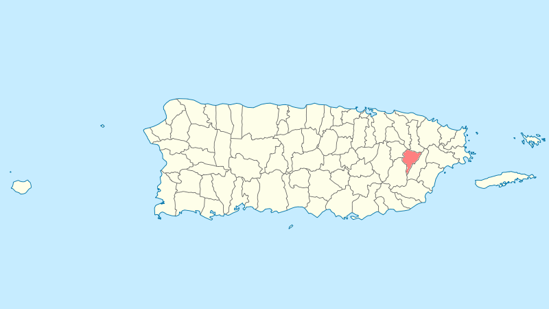 File:Locator map Puerto Rico Juncos.png