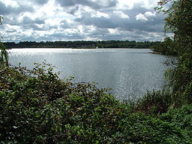 Looking south from Garston Lock - geograph.org.uk - 8347