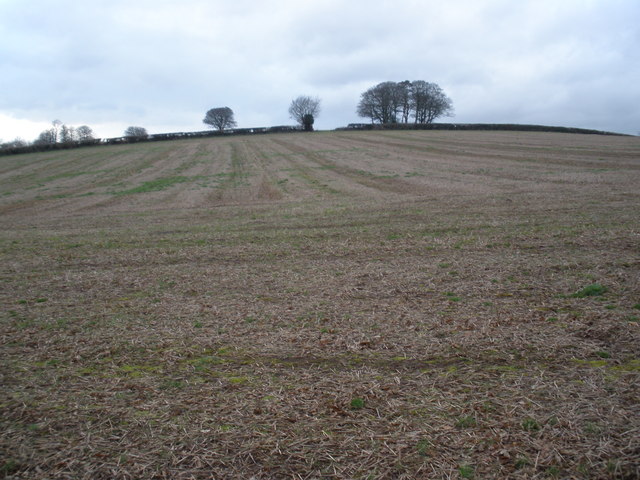 File:Looking up to Fursdon Hill - geograph.org.uk - 1126958.jpg