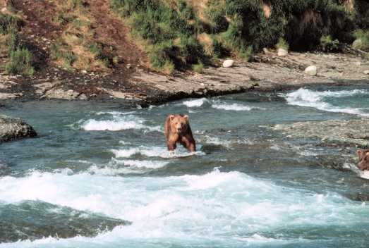 File:McNeil River State Game Sanctuary NPS.jpg