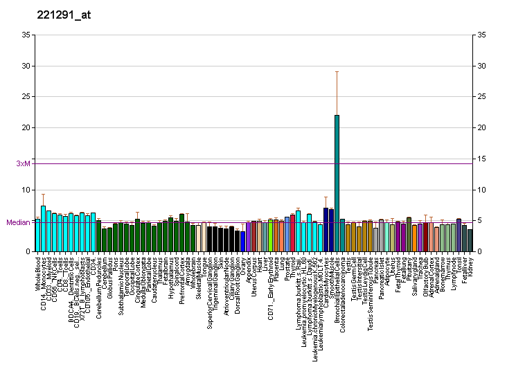 File:PBB GE ULBP2 221291 at fs.png