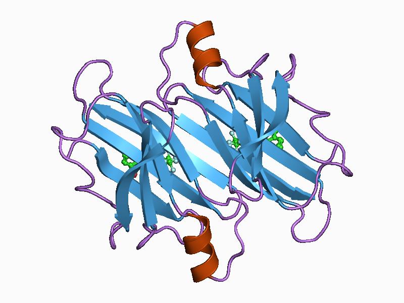 File:PDB 1bm7 EBI.jpg