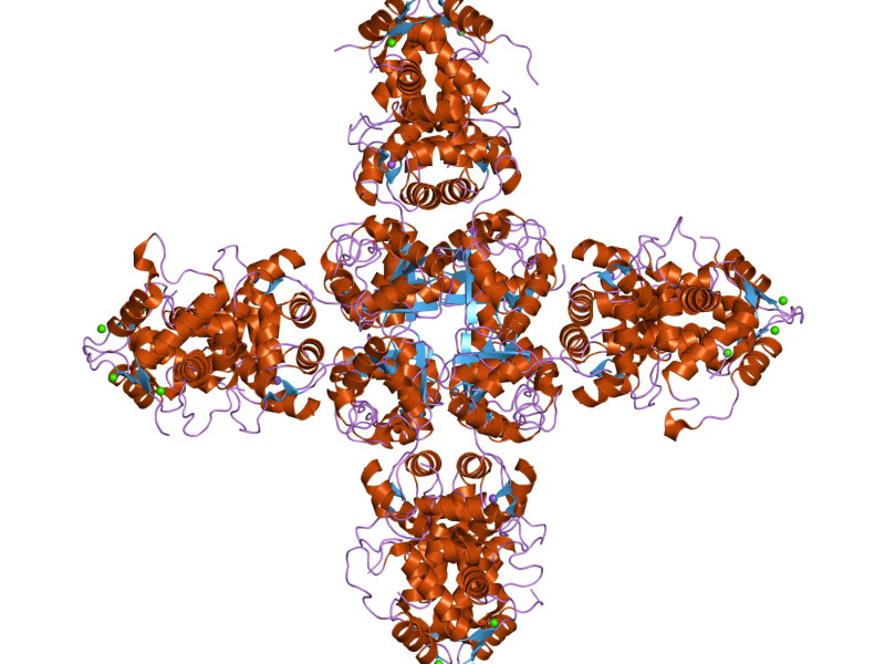 File:PDB 2i2r EBI.png