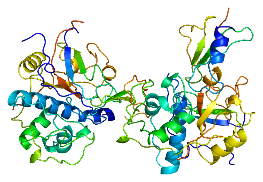 thyroglobulin structure