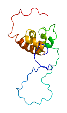 Ақуыз PABPC3 PDB 1g9l.png