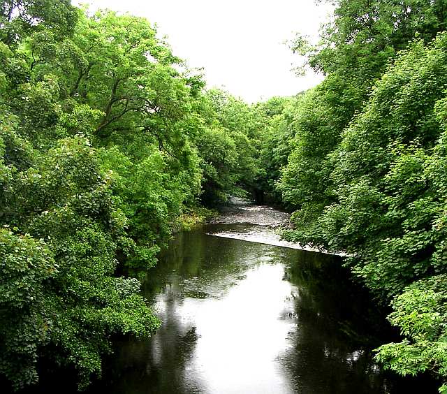 File:River Calder from Station Road - geograph.org.uk - 481958.jpg