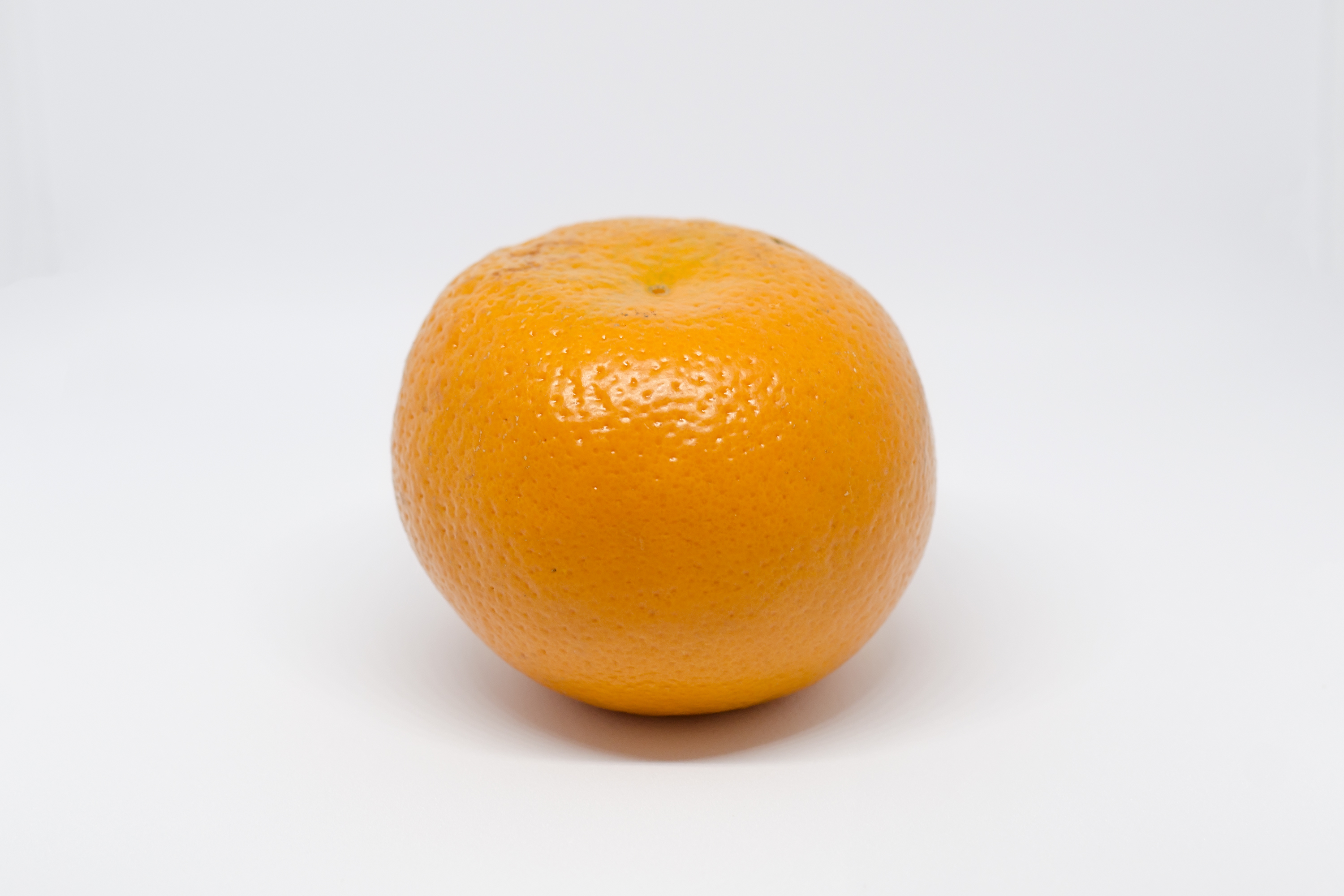 File Single Orange  Fruit jpg Wikimedia Commons