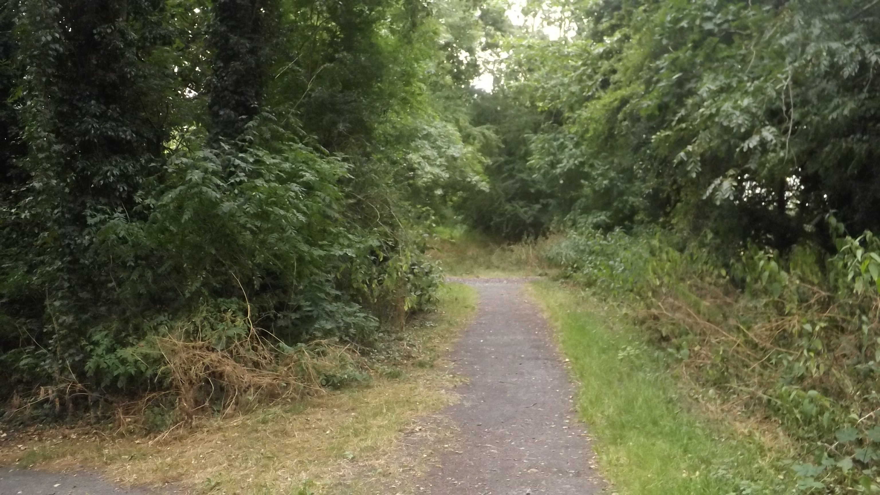 Ketley Town Halt railway station