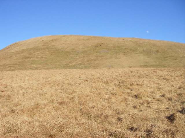 South-western slopes of Fan Gyhirych - geograph.org.uk - 914552