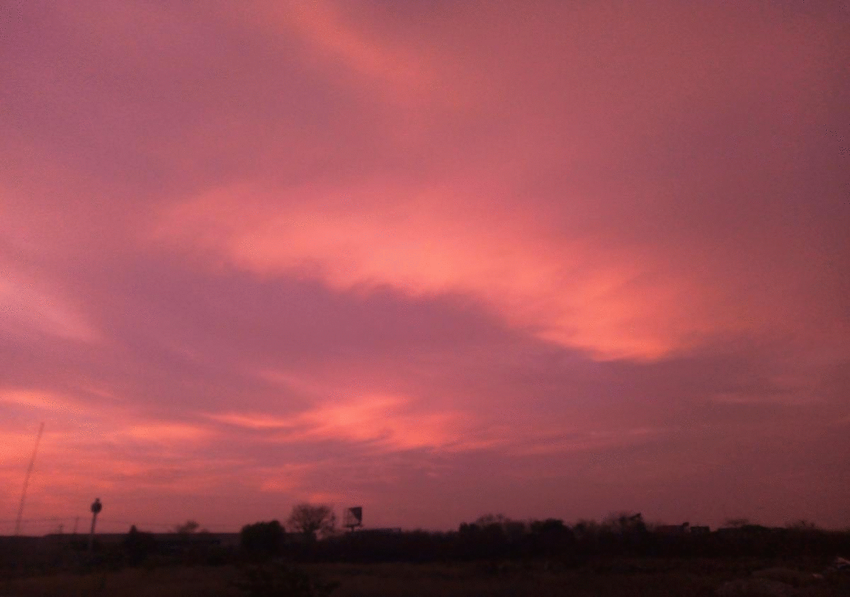 pink sunset gif