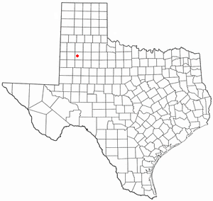 <span class="mw-page-title-main">Reese Center, Texas</span> Former CDP in Texas, United States