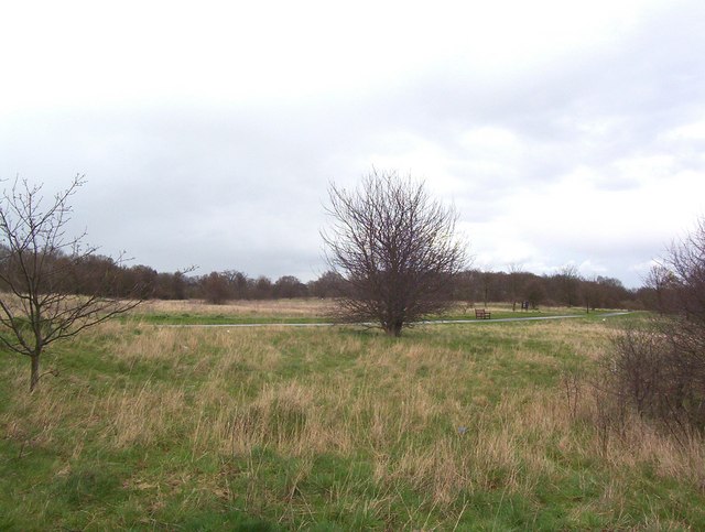 File:The Welsh Harp Reservoir - geograph.org.uk - 143507.jpg