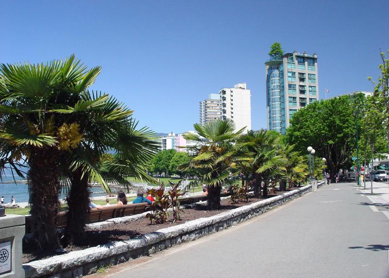 File:Vancouverpalms.jpg