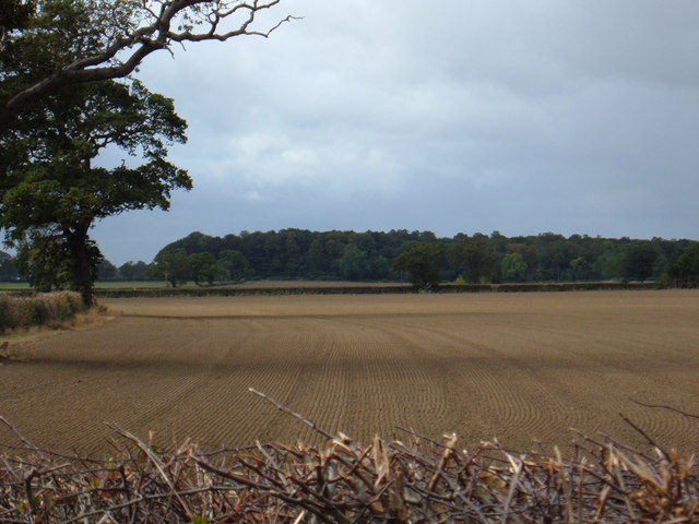 File:Wolds Farmland - geograph.org.uk - 1519149.jpg