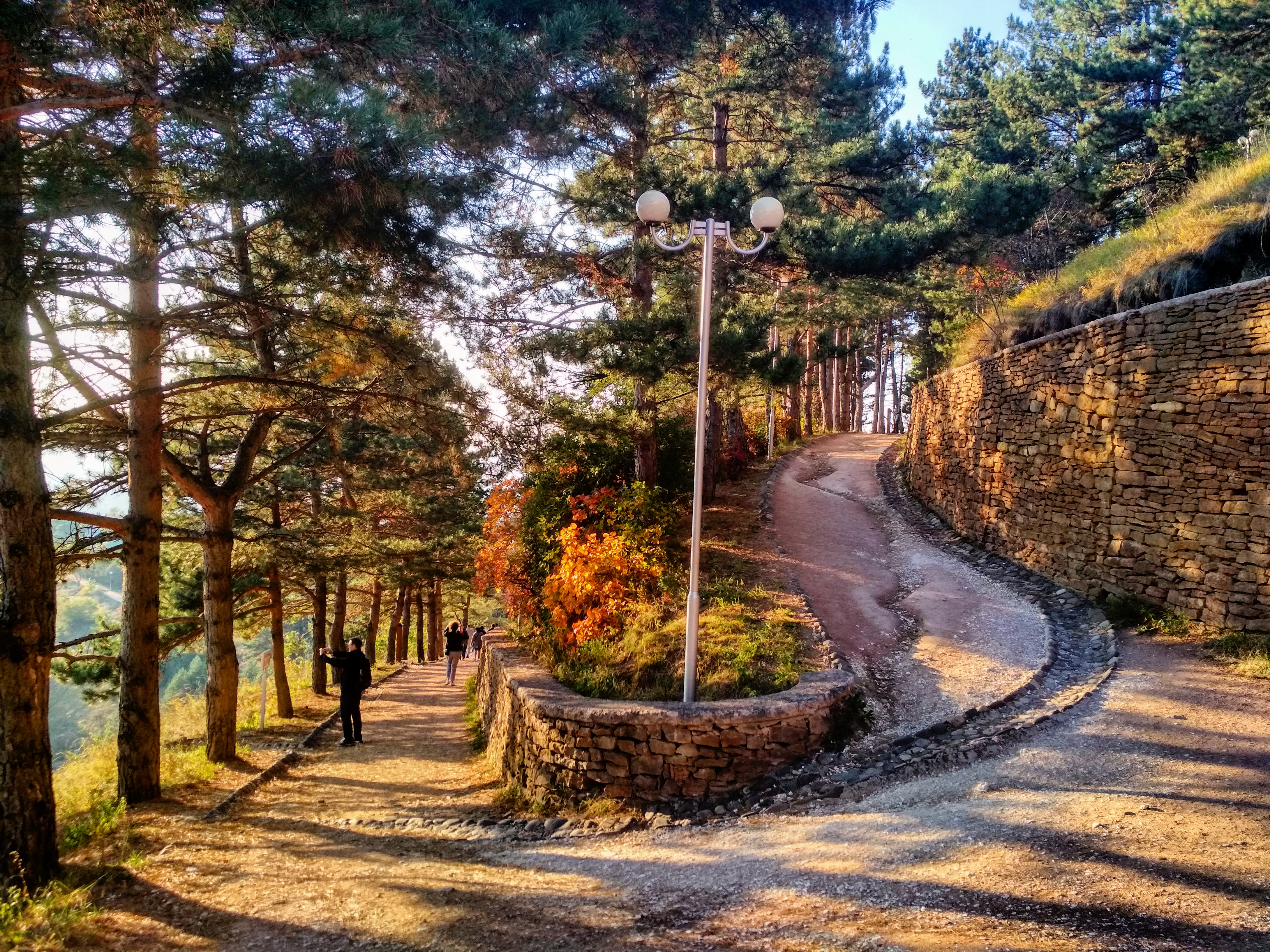 парк терренкур сестрорецк