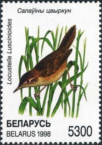 File:1998. Stamp of Belarus 0271.jpg