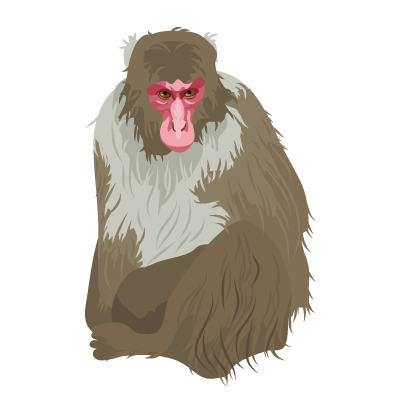 cute monkey png