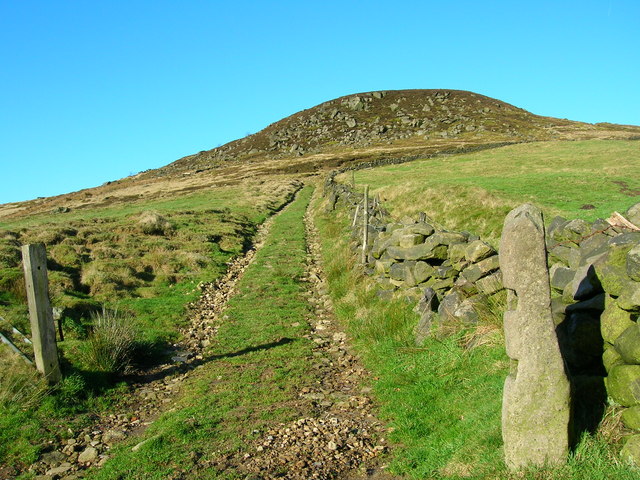 File:Access track to the Whirlaw Stones - geograph.org.uk - 322618.jpg