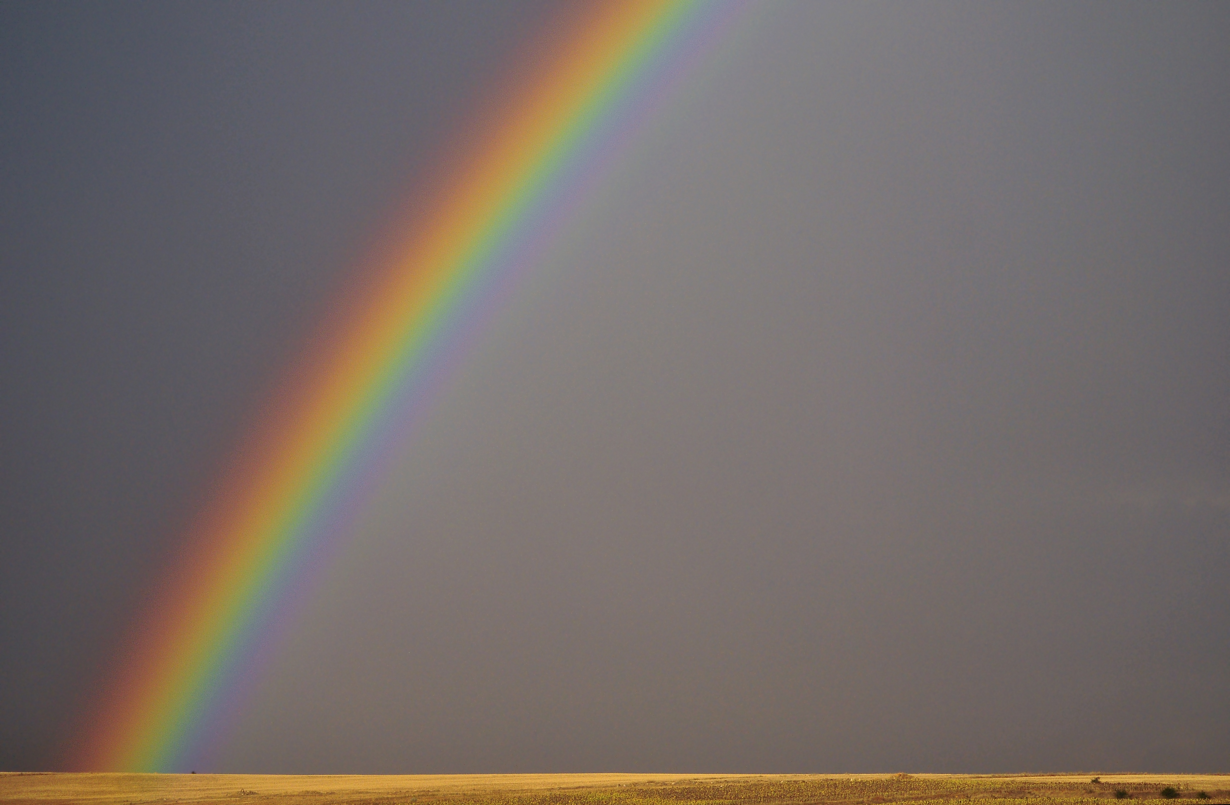 Los colores del arco iris en orden