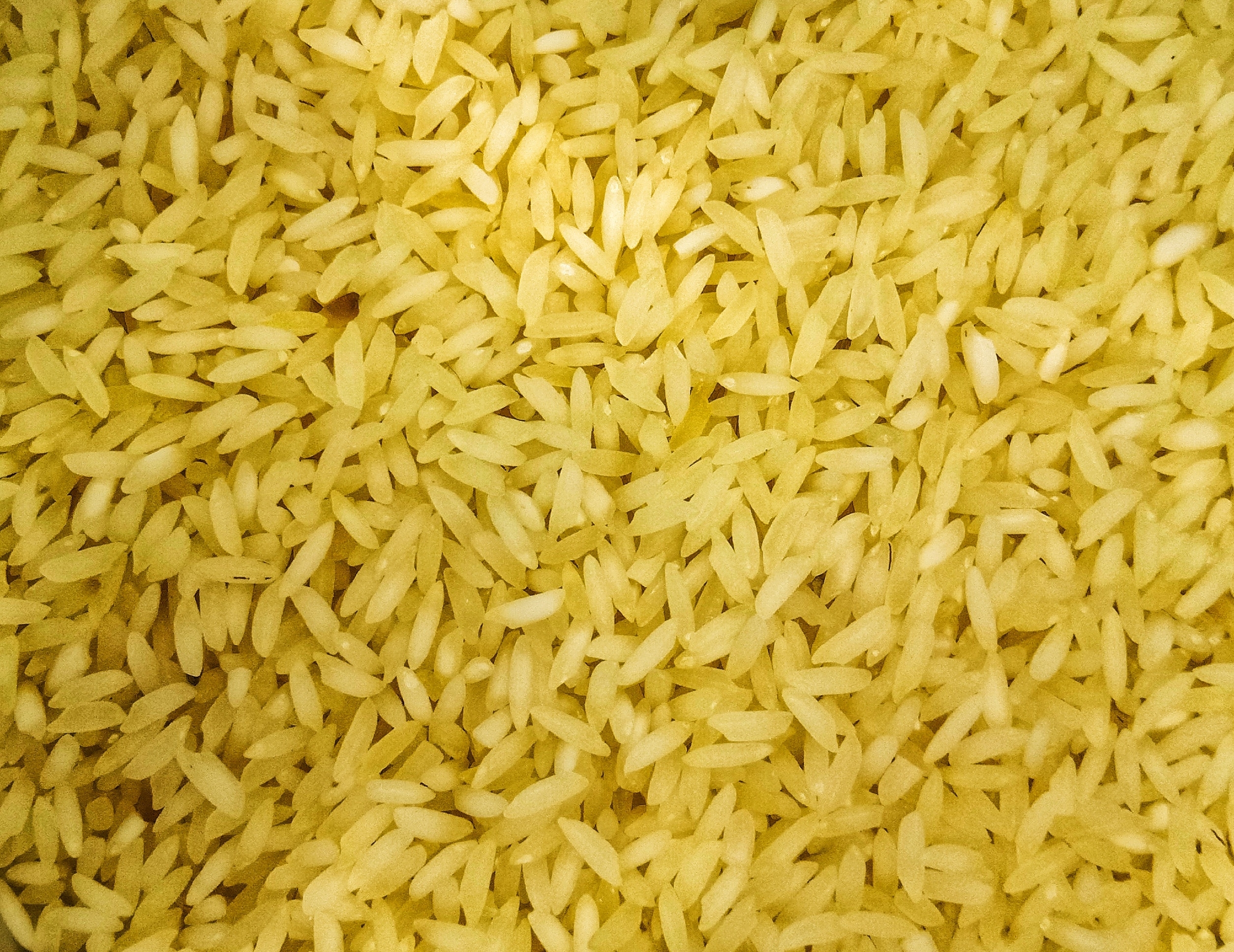 Basmati - Wikipedia