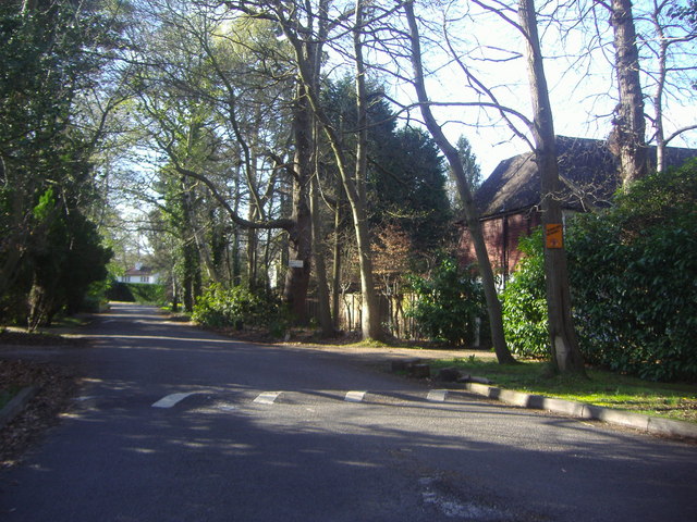 File:Blackdown Avenue Pyrford - geograph.org.uk - 1249176.jpg