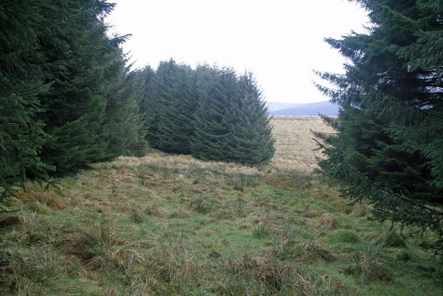 File:Blackhope - geograph.org.uk - 743220.jpg