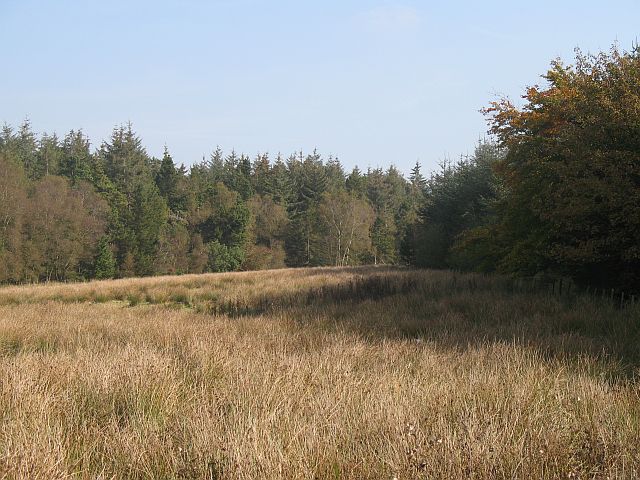 File:Bogrie Flow - geograph.org.uk - 580808.jpg