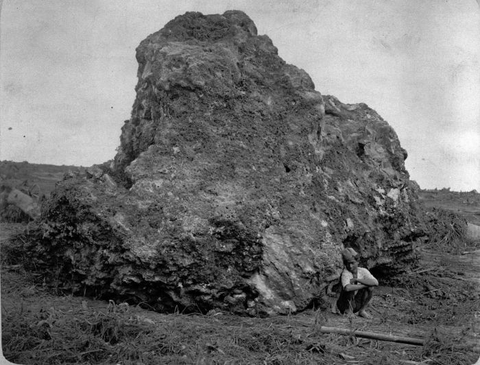 File:COLLECTIE TROPENMUSEUM Een groot stuk koraal ligt op de plaats waar het postkantoor te Anjer voor de uitbarsting van de Karakatau in 1883 stond. TMnr 60005532.jpg