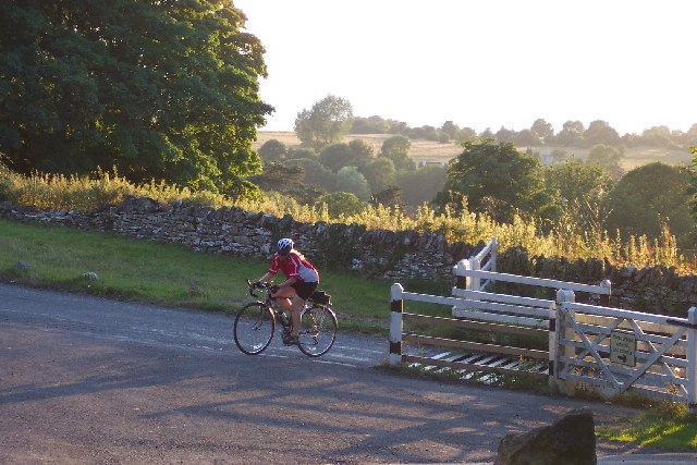 File:Cattle Grid near Burleigh Lane - geograph.org.uk - 115943.jpg