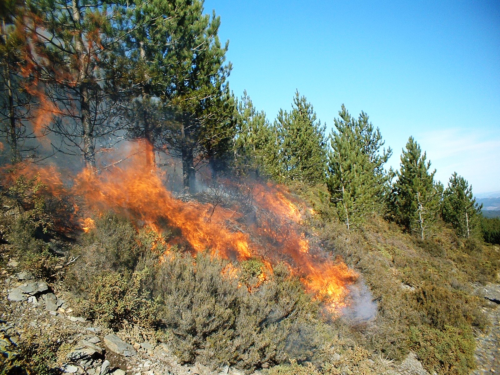 Controlled burn