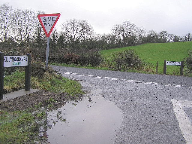 File:Cranny Townland - geograph.org.uk - 97670.jpg