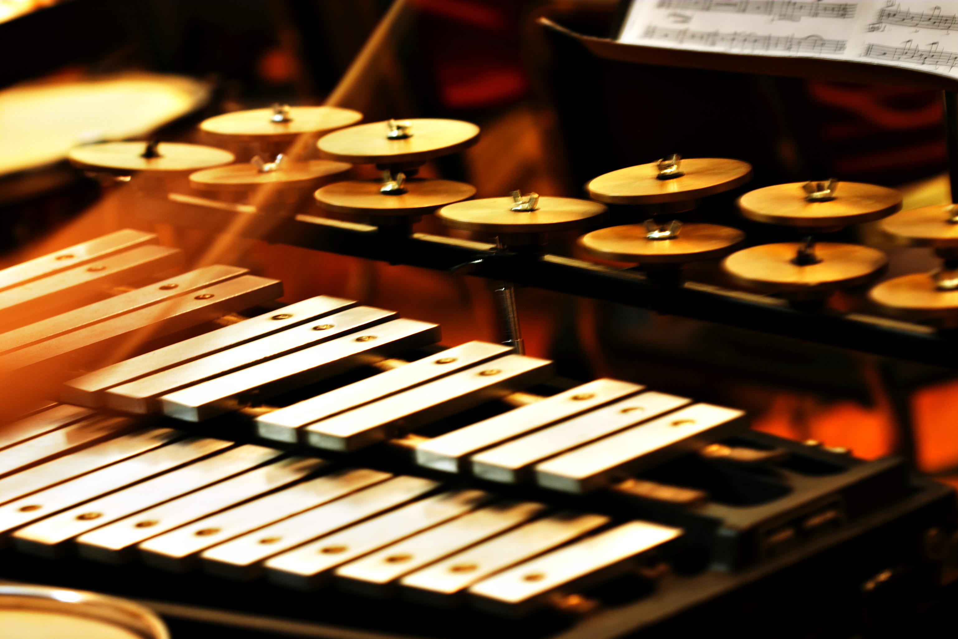 Instrument de musique à percussion xylophone solo carillon professionnel  avec maillet pour la salle de classe des enseignants, Percussion