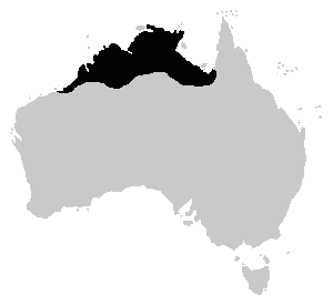 File:Cyclorana australis distrib.png